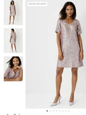 Ann Taylor - Sequin Shift Dress